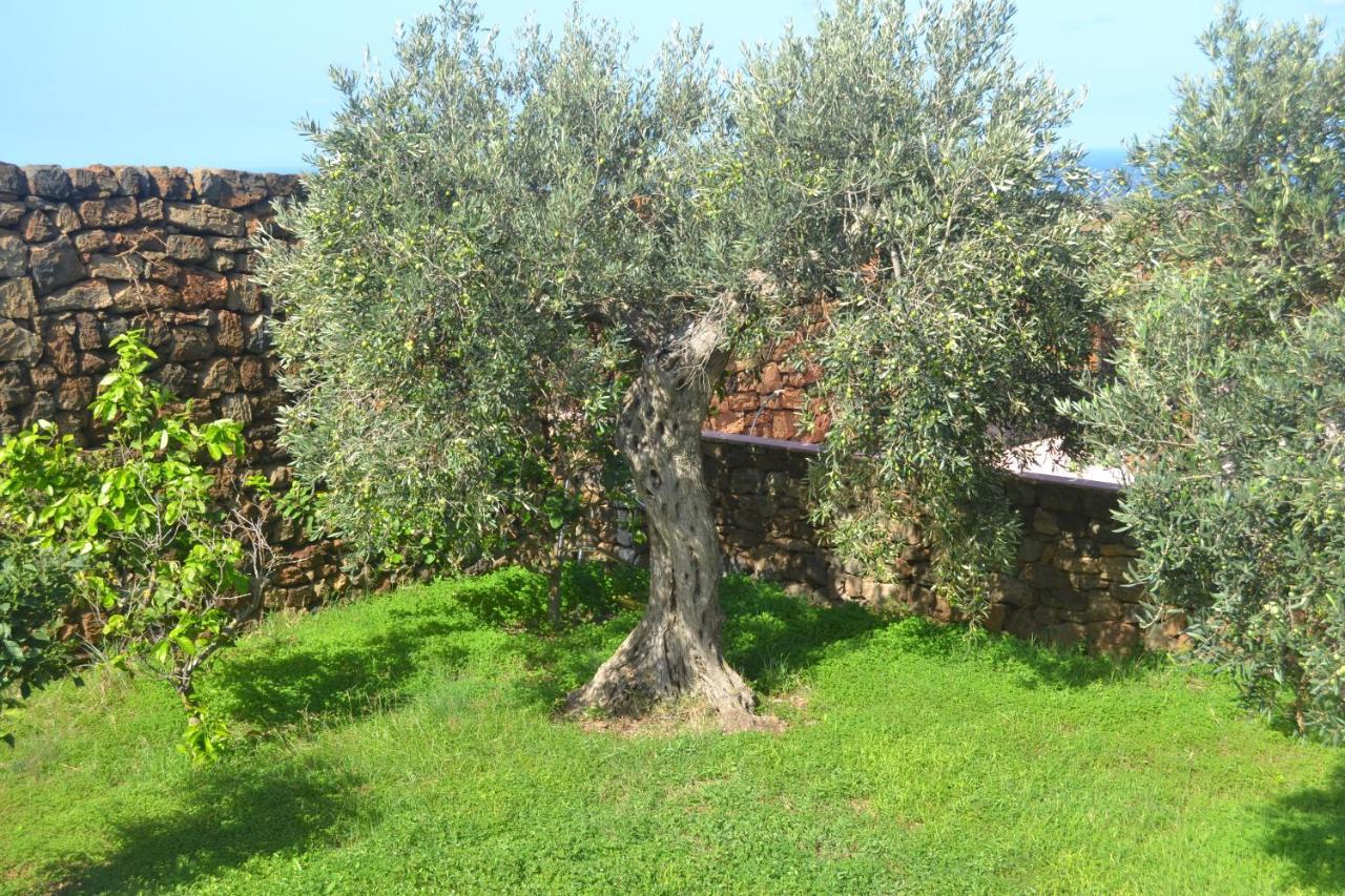 Agriturismo Zinedi Villa Pantelleria Luaran gambar
